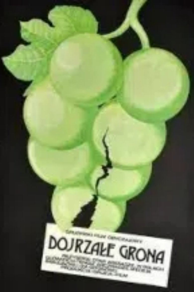 Poster of Ripe Bunches