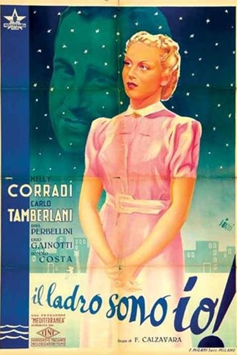 Poster of Il ladro sono io!