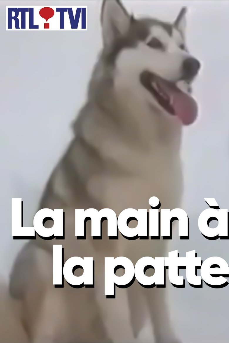 Poster of La main à la patte