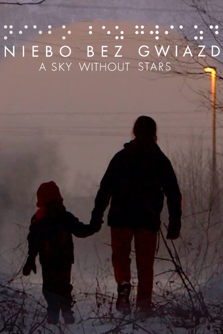 Poster of A Sky Without Stars