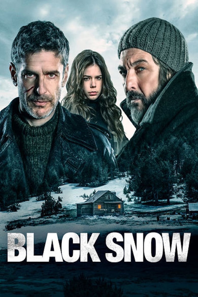 Poster of Black Snow