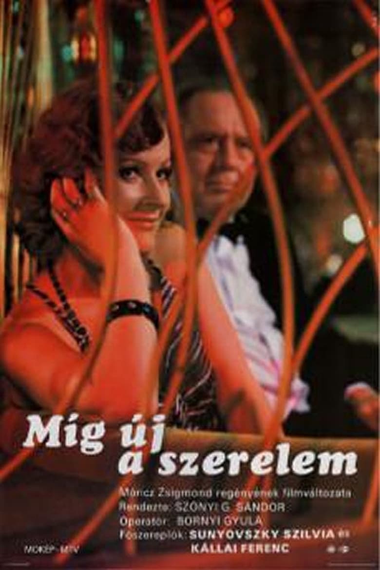 Poster of Míg új a szerelem