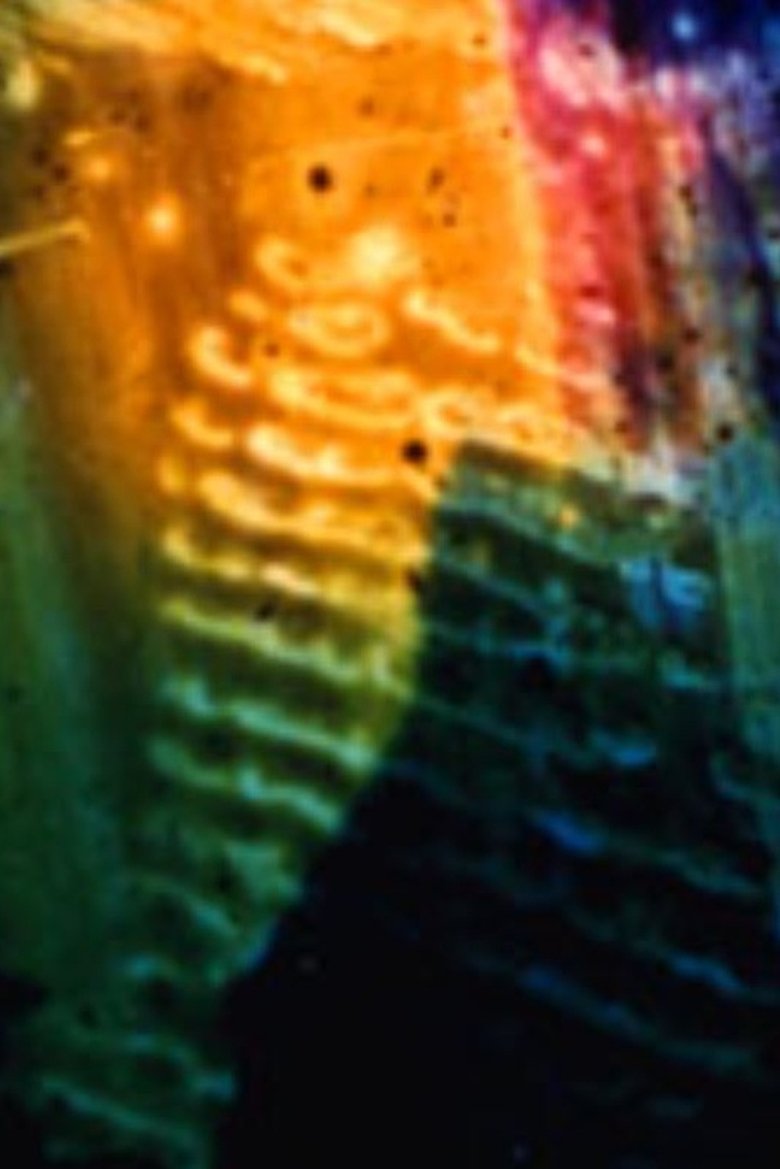 Poster of Patina