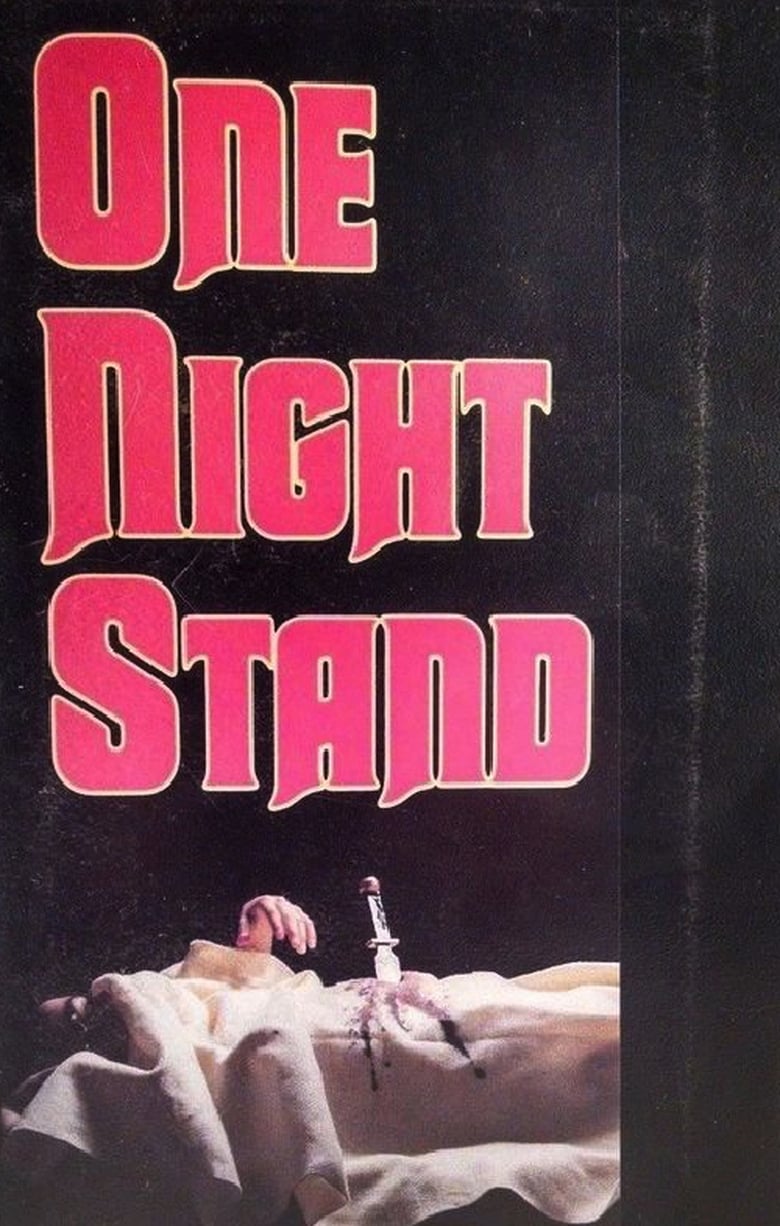 Poster of One Night Stand