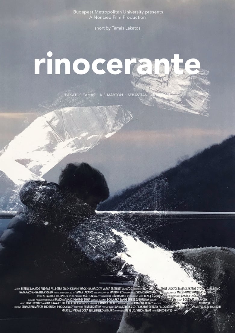 Poster of Rinocerante