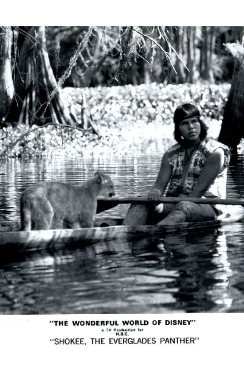 Poster of Shokee, the Everglades Panther