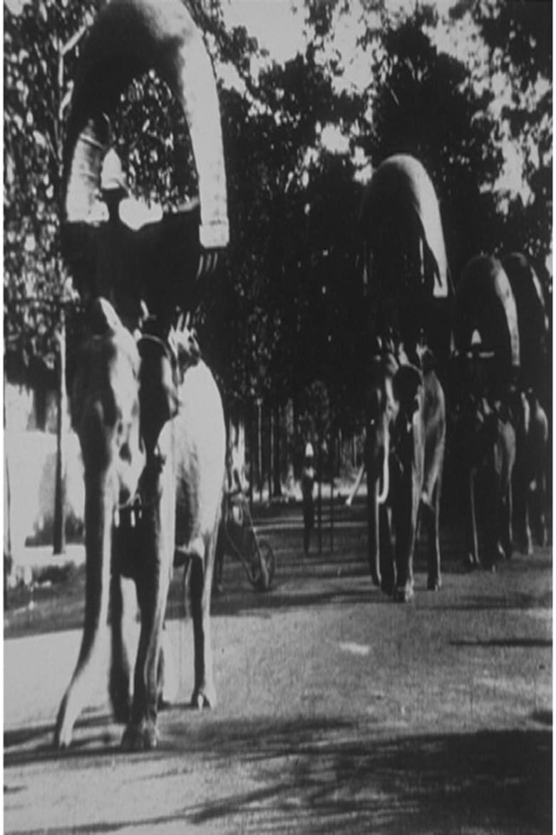 Poster of Elephant March in Phnom Penh