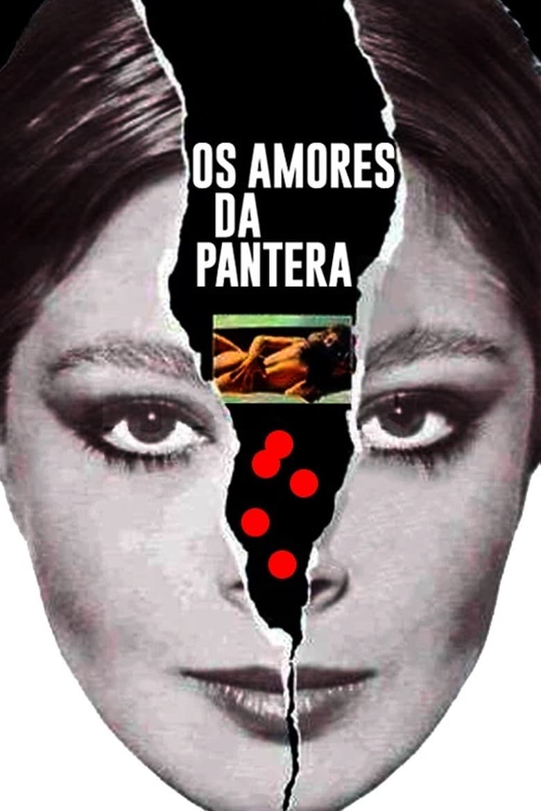 Poster of Os Amores da Pantera