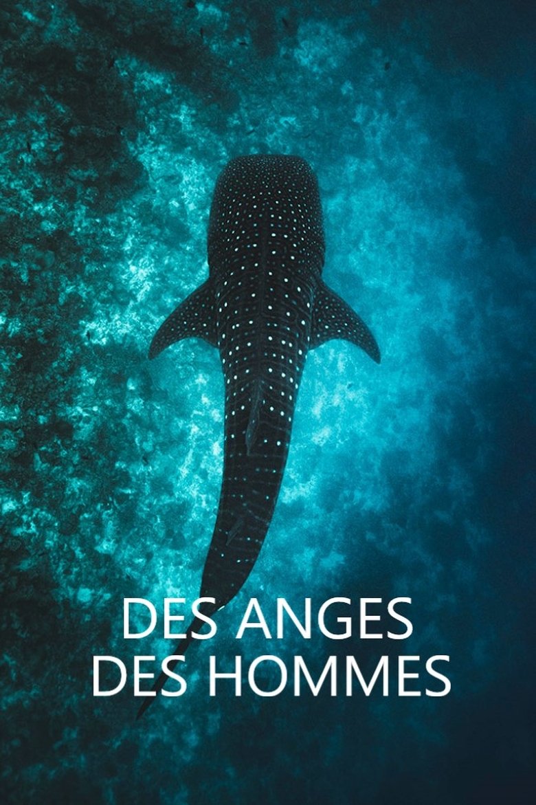 Poster of Des anges des hommes