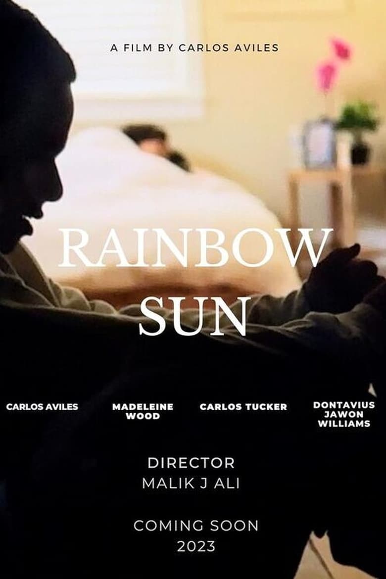 Poster of Rainbow Sun