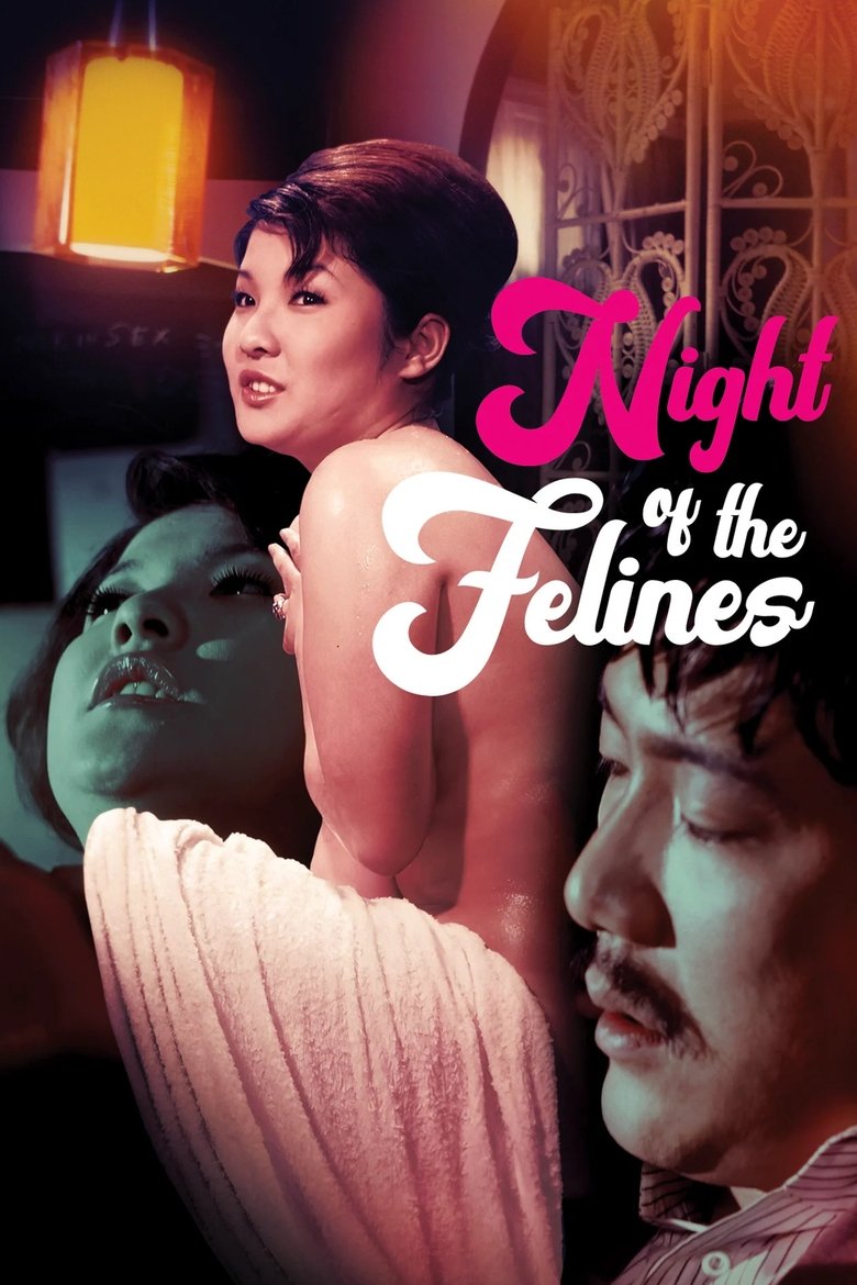 Poster of Night of the Felines
